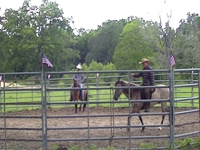 Colt starting begins on the ground and ends in a quiet saddle.